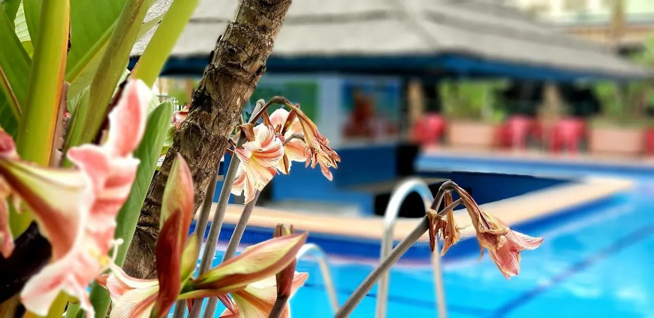 El Estudio De La Playa Benalbeach Holidays Deluxe Бенальмадена Апартаменты